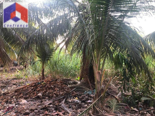 Terreno À Venda No Bairro Vila Velha Em Fortaleza/ce - Te0047