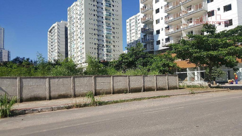 Imagem 2 de 3 de Terreno Para Alugar, 630 M² Por R$ 5.000,00/mês - Praia De Itaparica - Vila Velha/es - Te0010