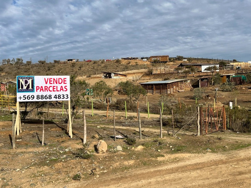 Parcela De Agrado En El Campo