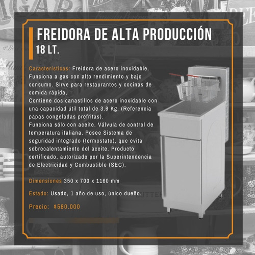 Freidora Industrial Maigas 18 Lts.