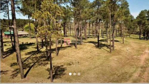 Venta- Terreno Chacras Del Pinar Maldonado Sla5907840