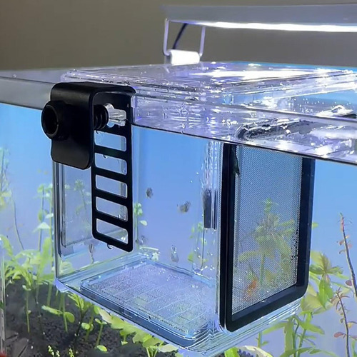 Para Caja De Aislamiento De Cría De Peces Incubadora De /