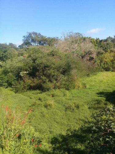 Imagem 5 de 13 de Cachoeira Interior Sp