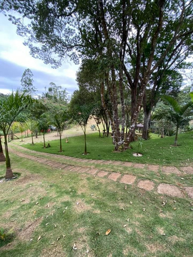 Imagem 4 de 13 de Sítio Com Cachoeira E Prox A Cidade - Si0014
