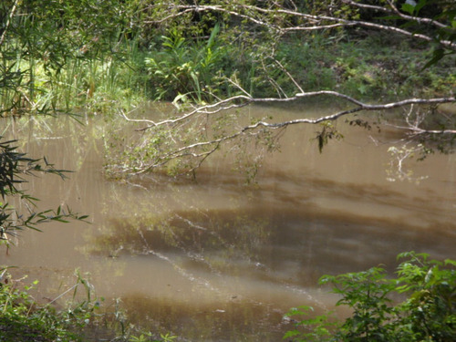 Imagem 14 de 14 de Ibiúna Chácara Canto Do Bugio Local Caipira E Natural 4.500m