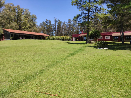Quinta En Venta De 6 Dormitorios En Maldonado