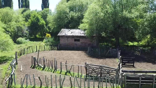 Venta De Chacra De 4,7 Hectáreas Con Casa, En Alumine, Provi