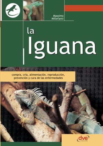 La Iguana