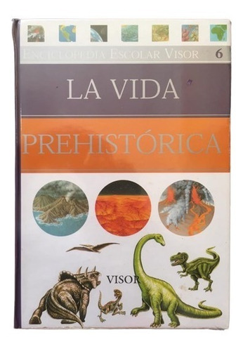 Enciclopedia Escolar Visor Varios Tomos 1 Al 10 Libro Atlas