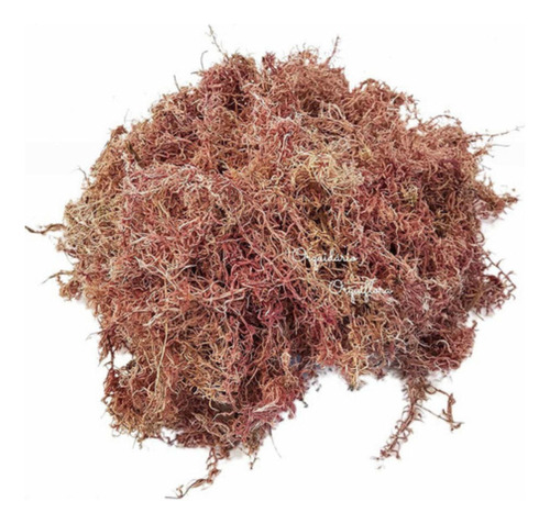 Musgo Sphagnum Substrato 5 Litros Para Plantas E Orquídeas