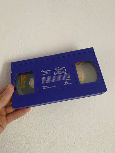 Winnie Pooh: Su Gran Aventura Película Vhs Animada Disney (Usado)
