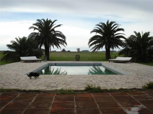 Imagen 2 de 26 de Alquiler.campo. Provincia De Buenos Aires. Ranchos
