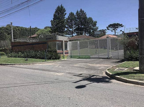 Imagem 7 de 10 de Terreno À Venda, 1210 M² Por R$ 887.800,00 - Butiatuvinha - Curitiba/pr - Te0658