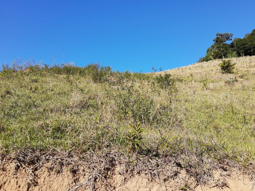 Imagem 2 de 14 de Vendo Chacara De 2,5 Alq Região De Natividade Da Serra (4238