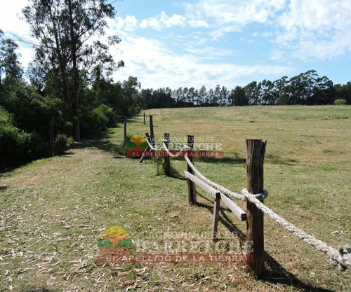 Imagen 8 de 17 de Venta De Chacra Melilla 3 Has Hermoso Paisaje.financia Propietario