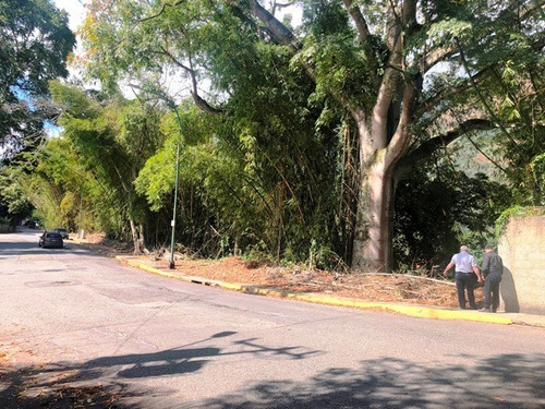 Imagen 3 de 6 de Estupendo Terreno En Venta En La Urbanización Miranda !!!