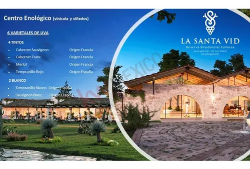 Preventa Casa En Venta La Santa Vid (viñedo) A 10 Minutos Del Centro De San Miguel De Allende