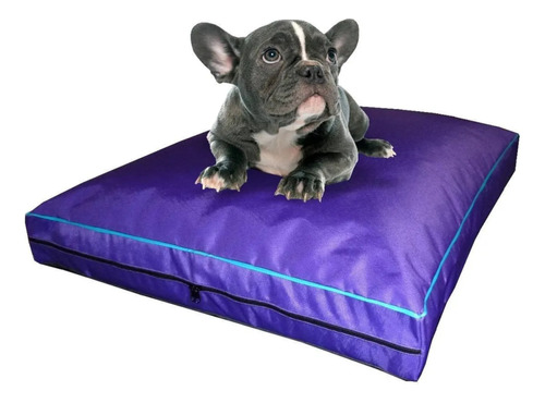 Colchon Liso Antidesgarro 70x50x8 Cm Cama Para Perro Mascota