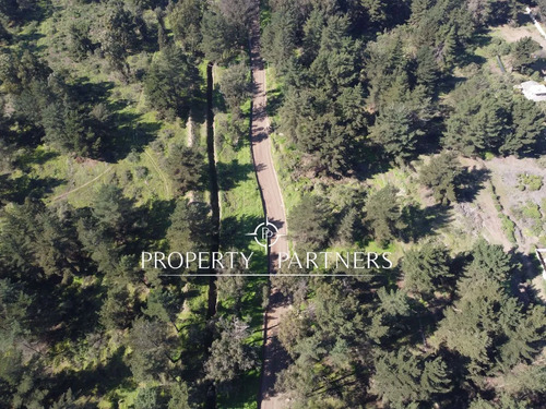 Terreno En Los Pinos
