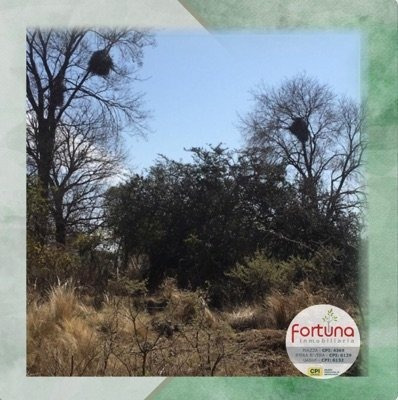 Excelente Lote De Terreno
