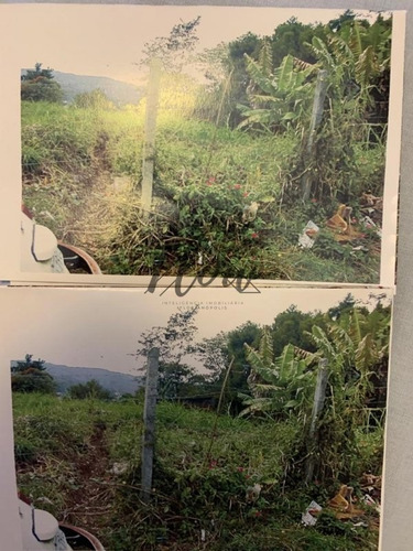 Imagem 3 de 9 de Terreno A Venda No Bairro Trindade - Florianópolis, Sc - Fl64404