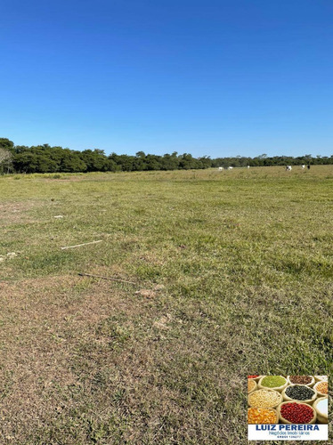Imagem 3 de 5 de Fazenda À Venda Em Dourados Ms - De 535 Hectares (dupla Aptidão) - 1718