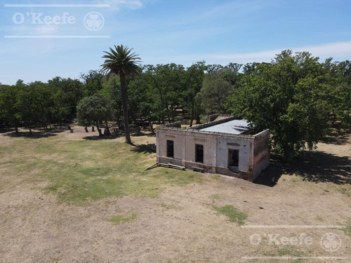 Campo En Venta De 50 Has En Carlos Keen - A 1 Hora De Caba