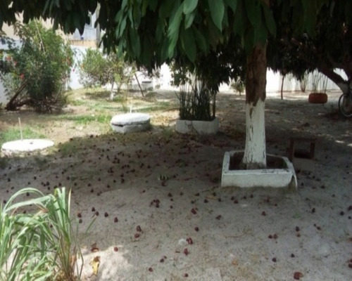 Imagem 3 de 30 de Casa - Pk291 - 32013207