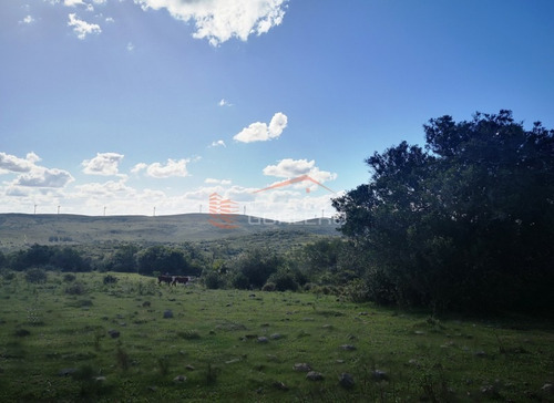 Campo Ganadero En Venta En Maldonado, A 60 Km De Punta Del Este- Ref: 26296
