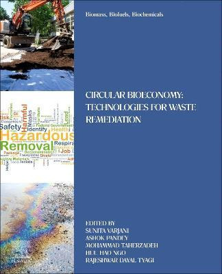 Libro Biomass, Biofuels, Biochemicals : Circular Bioecono...