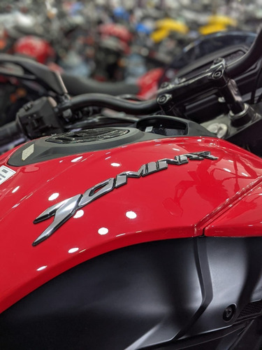 Imagen 5 de 8 de Bajaj Dominar 250 12 Cuotas Sin Interes Solo Con Dni