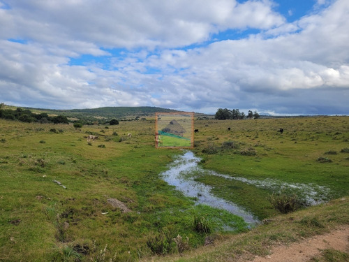 Imagen 5 de 25 de 20has De Campo Sobre Ruta 12 Pueblo Edén