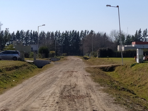Imagen 3 de 6 de Lotes Barrio La Natividad Venta