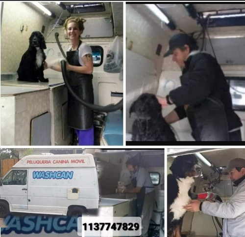 Imagen 2 de 5 de Peluqueria Canina Móvil Washcan