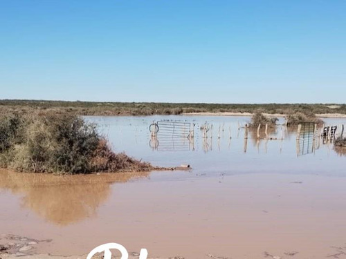 Terreno Campo En Venta En 25 De Mayo, Puelen, La Pampa