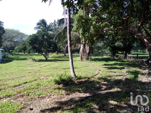 Venta Terreno 0 Ambiente Paso Del Toro
