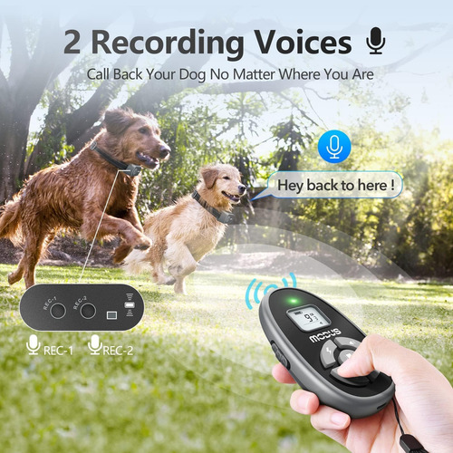 Modus Collar De Entrenamiento Para Perros Con Control Remoto