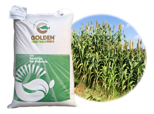 Semilla De Sorgo Forrajero Dulce Sudan Caramelo Saco 20kg