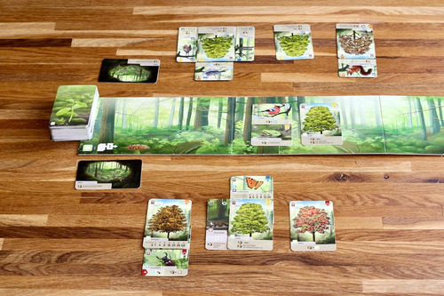 Forest Shuffle - ¡crea Un Paraíso Ecológico! Juego De Mesa