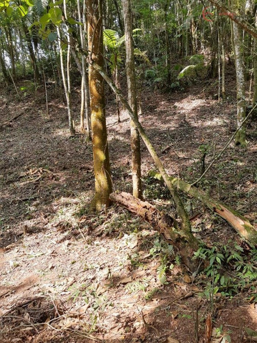 Imagem 13 de 26 de Terrenos Em Loteamento Fechado À Venda Em Mairiporã/sp - Compre O Seu Terrenos Em Loteamento Fechado Aqui! - 1452335
