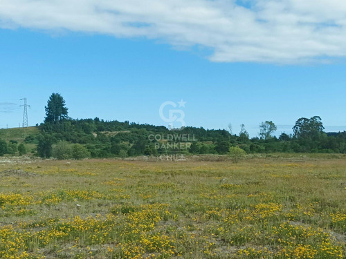 A Orilla De Carretera, Área Turística, Industrial.