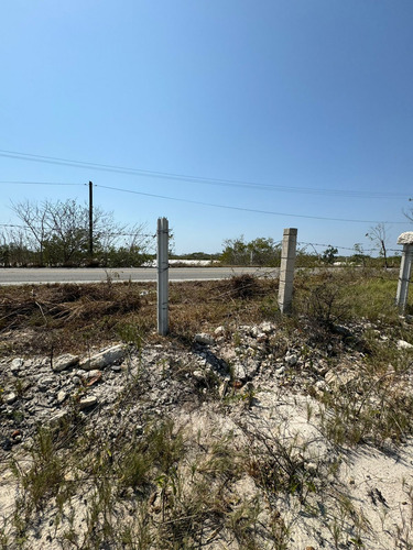Terreno En Venta, Frente A Playa En San Crisanto, Yucatán