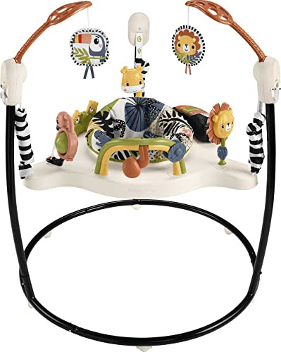 Actividad De Saltador Fisher-price Baby Bouncer Palm Paradis