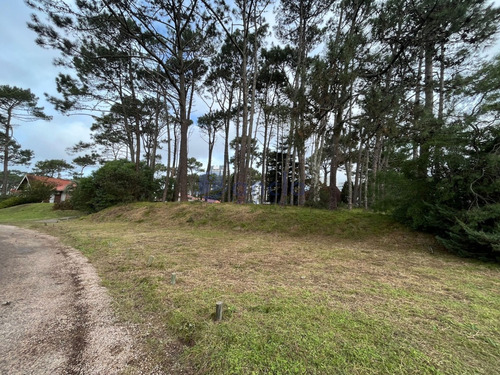 Vendo En Punta Del Este