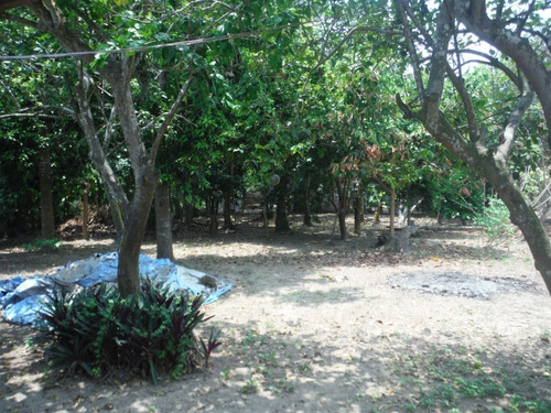 Imagen 7 de 12 de 2 Casas, Calle Privada, Terreno 1,250 M2, 72 Y 36 M2 Centro