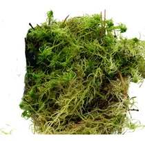 Comprar Musgo Para Kokedama X 15 Lts Tutor Bonsai Acodo Suelo Deco