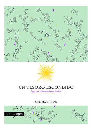 Libro Un Tesoro Escondido