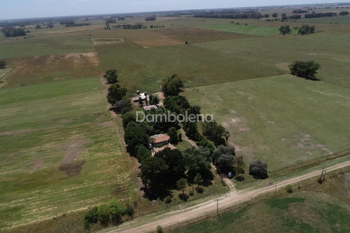 Imagen 17 de 22 de Terreno Campo En Venta Ubicado En General Rodríguez, G.b.a. Zona Oeste