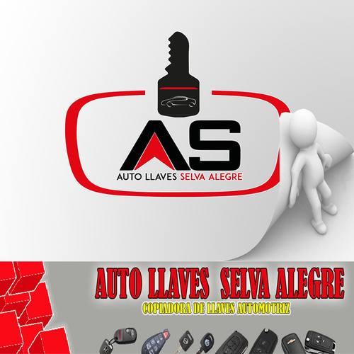 Imagen 2 de 6 de Llaves Con Chip Para Autos Vw Peugeot Nissan Ford Renault