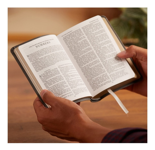 Imagen 7 de 10 de Biblia En Inglés King James Version Tamaño Compacto Mostaza